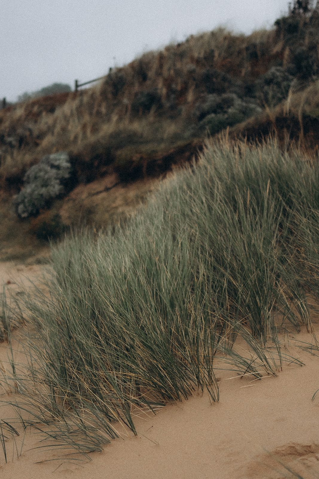 Séance Famille Erquy - 2